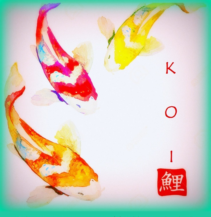 Carpa Koi