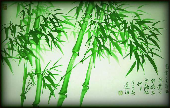 Foglie di Bamboo